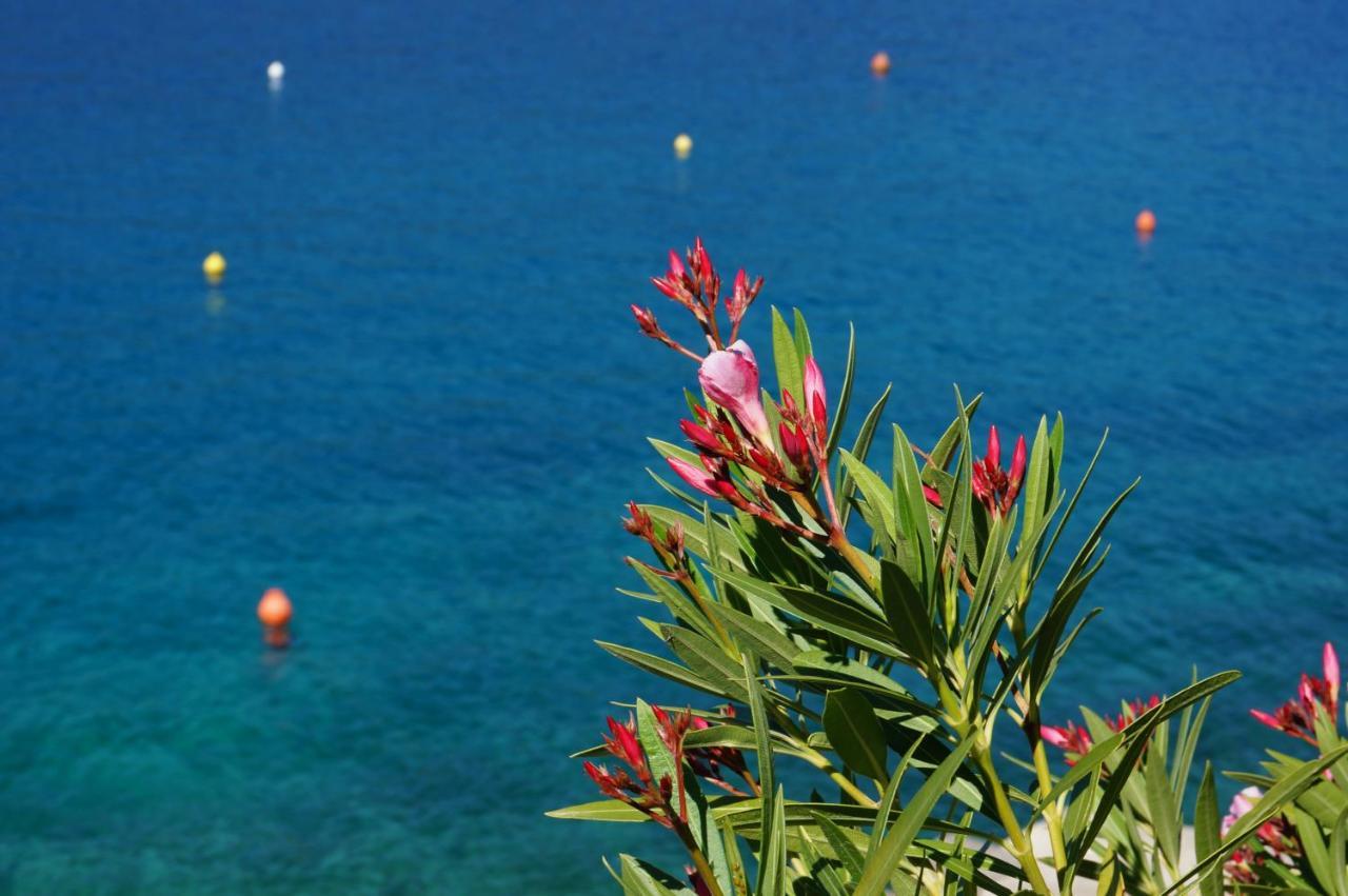 Apartment Layla - Intermezzo With Sea View In Center Of Rabac Exterior foto
